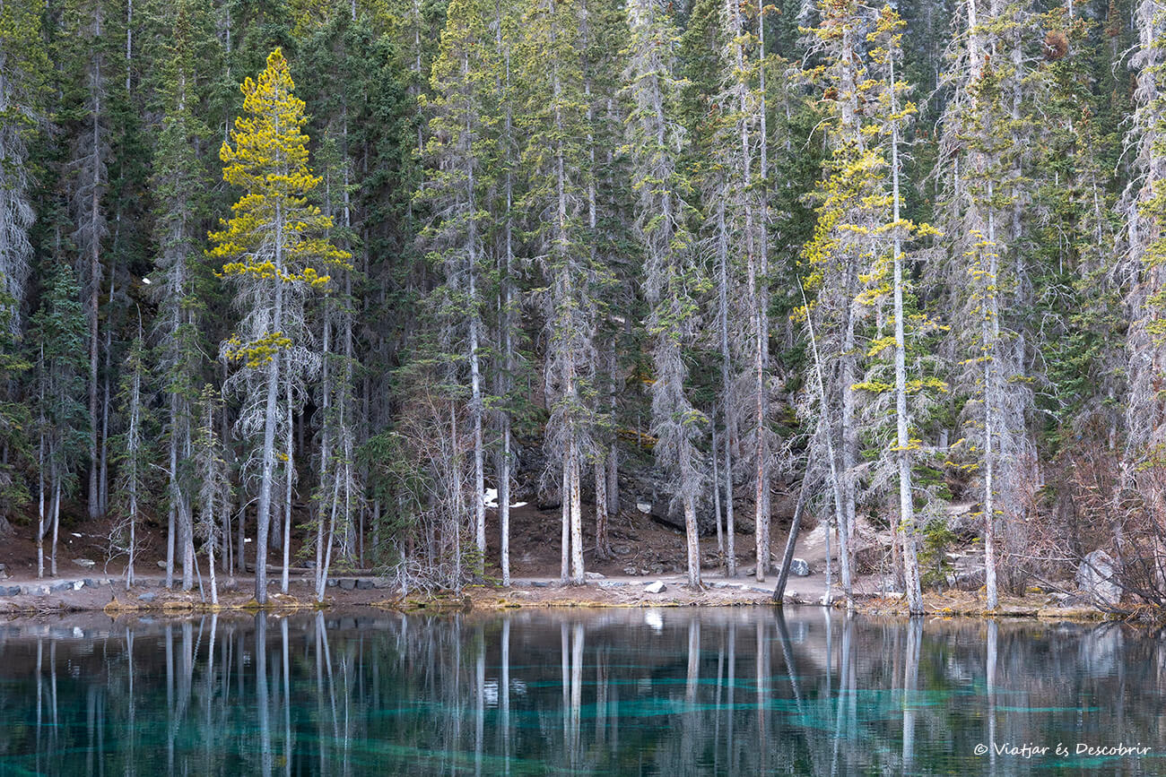 aguas turquesas en los Grassy Lakes en un día bastante cálido del invierno en Canadá