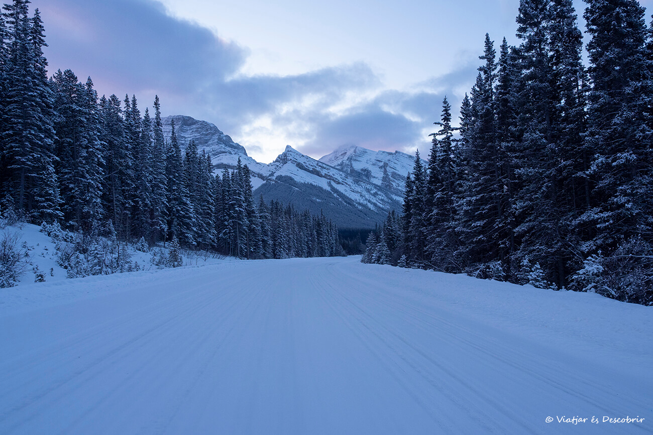 al viajar a Canadá en invierno tuve la oportunidad de conducir por carreteras nevadas al amanecer