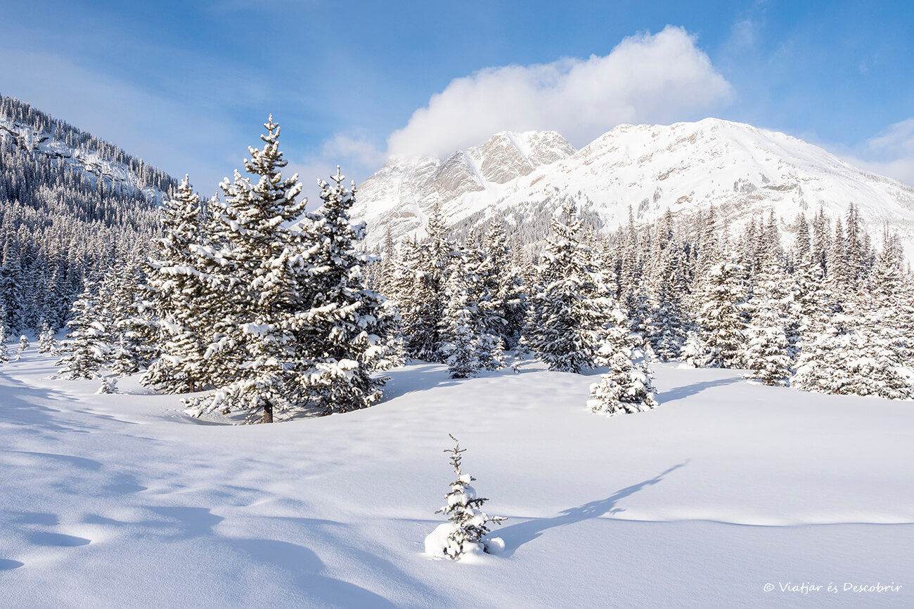 paisaje de Kananaskis después de una intensa nevada