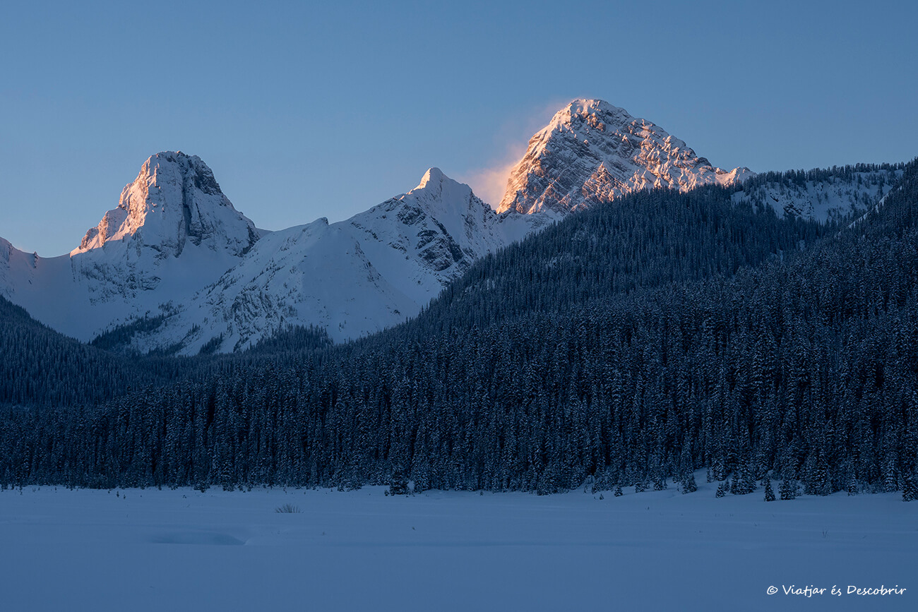 amanecer en los prados de Kananaskis durante un frío día de invierno