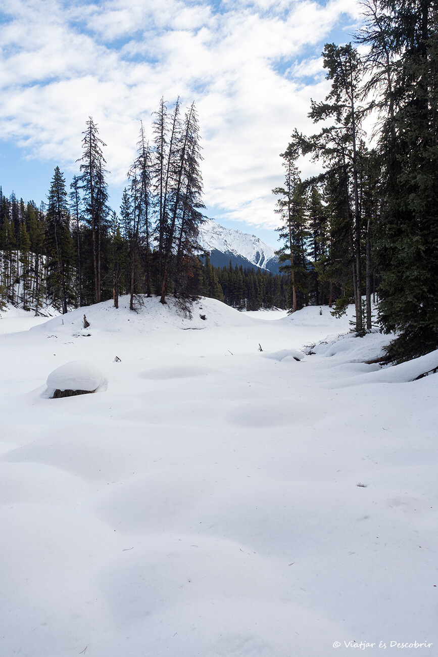 nieve en el Moose Lake