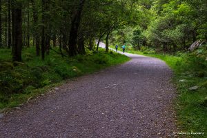 Lee más sobre el artículo Alquilar un coche en Irlanda: opiniones y consejos