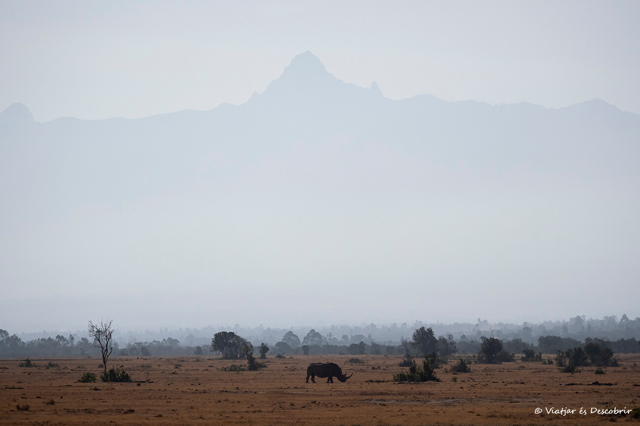 amanecer con vistas el Monte Kenia