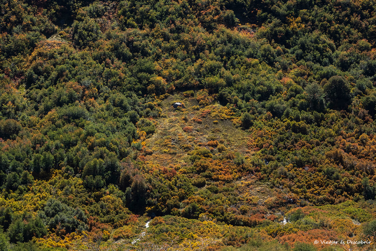otoño en la Patagonia Argentina