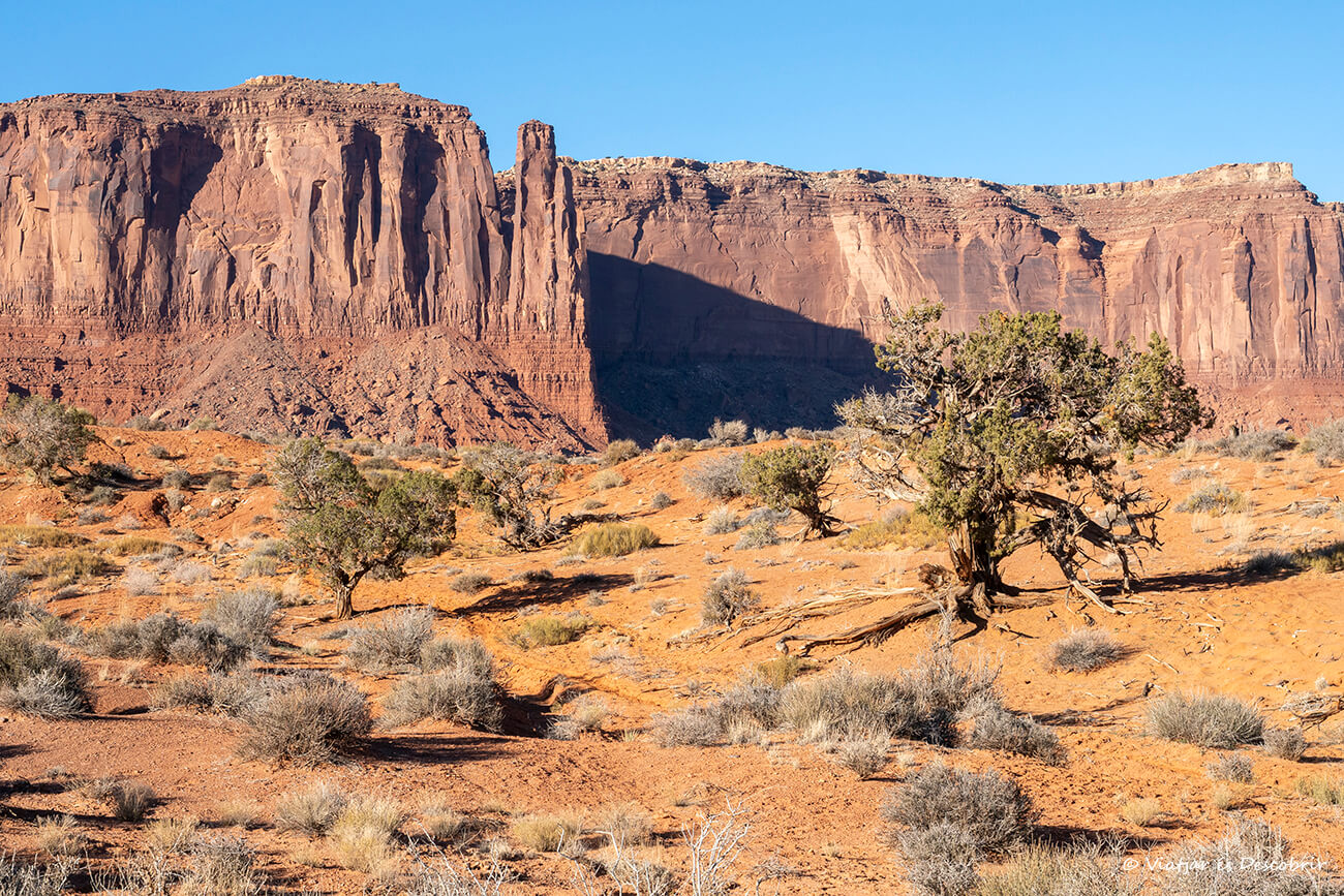 paisajes menos conocidos de este valle de los indios navajos durante la ruta de senderismo del Wildcat Trail