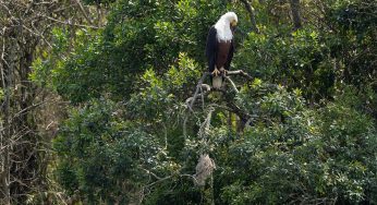 ¿Merece la pena viajar a Uganda? Mi opinión sincera
