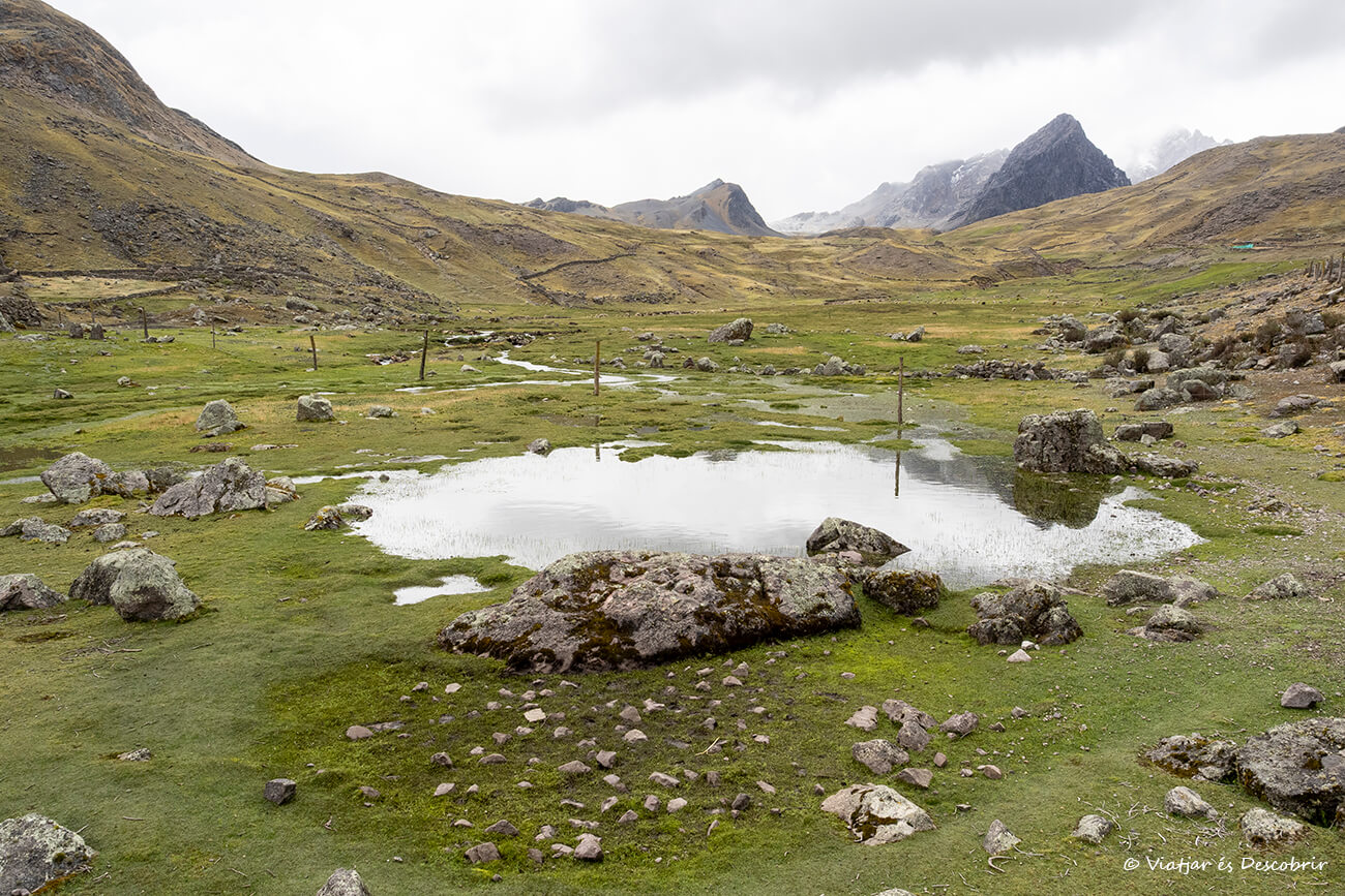 paisaje rural con alpacas durante la subida a las lagunas de Ausangate
