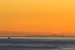 Lee más sobre el artículo Cómo ir en ferry de Vancouver a la Isla de Vancouver