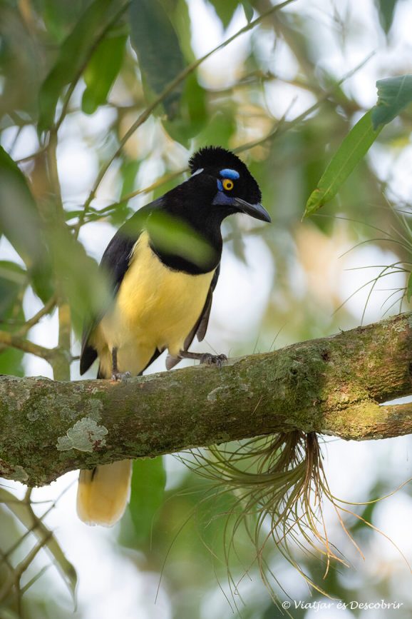 quinuituq-s63-cataratas-iguazu-6