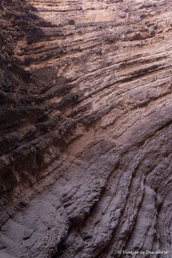 quinuituq-s66-argentina-12