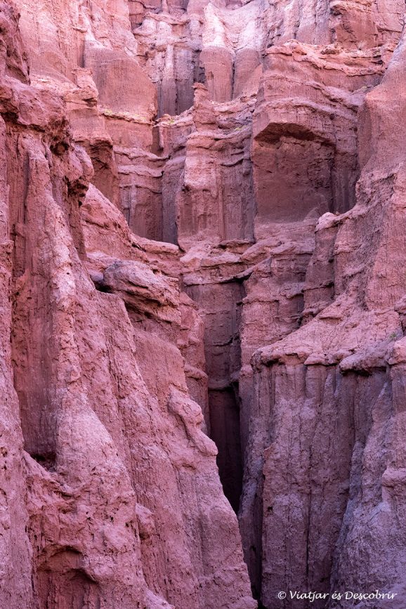 quinuituq-s66-argentina-6